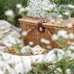 Photo picnic