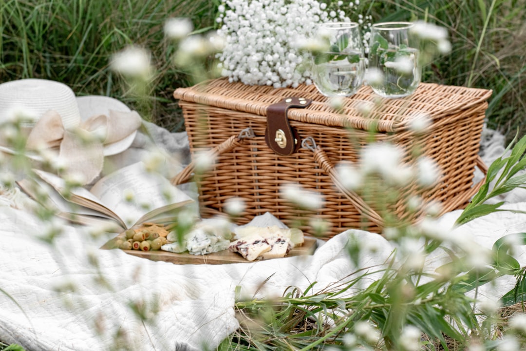 Photo picnic